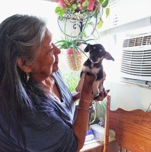 Meet your Posher, Sandra